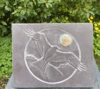 Red kite<br />Slate